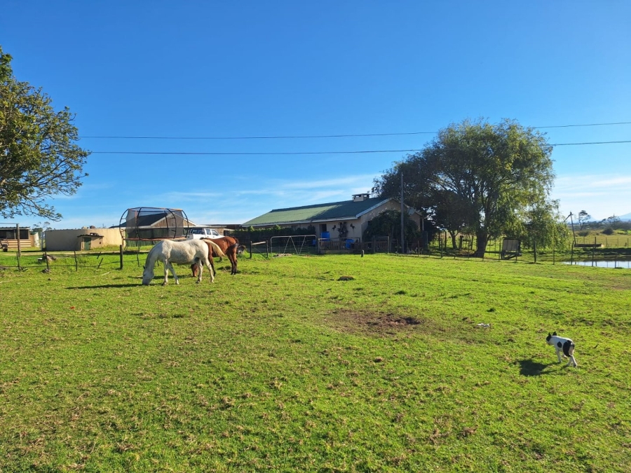 7 Bedroom Property for Sale in Glentana Western Cape